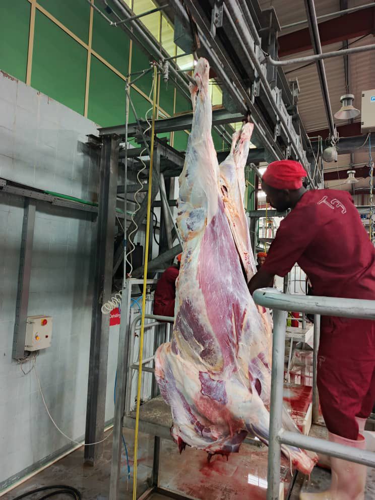Halal slaughter line