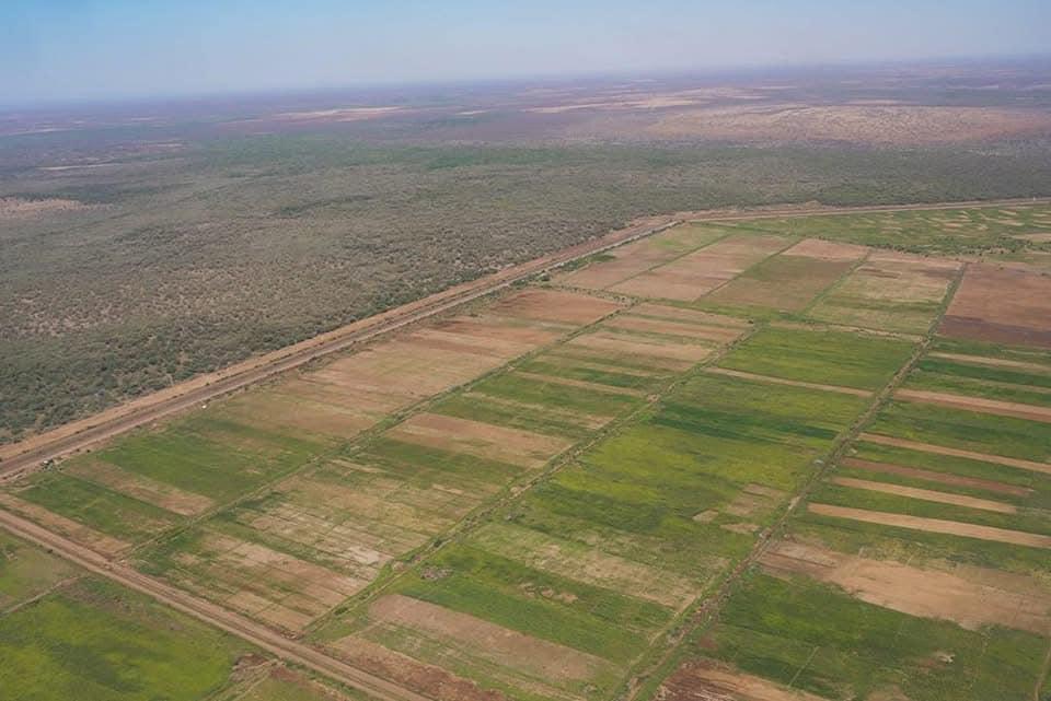 Aerial view of Prime AgroFeed's 5,000-hectare irrigated farmland in Gode, Ethiopia