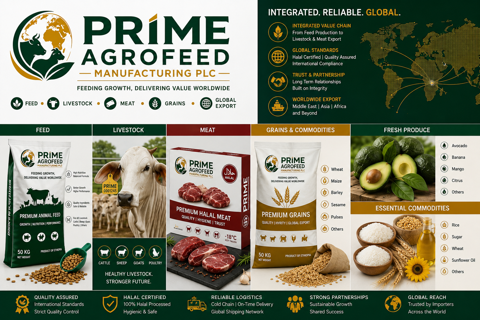Prime AgroFeed integrated value chain — Feed, Livestock, Meat, Grains & Commodities, Fresh Produce, with global export across the Middle East, Asia and Africa