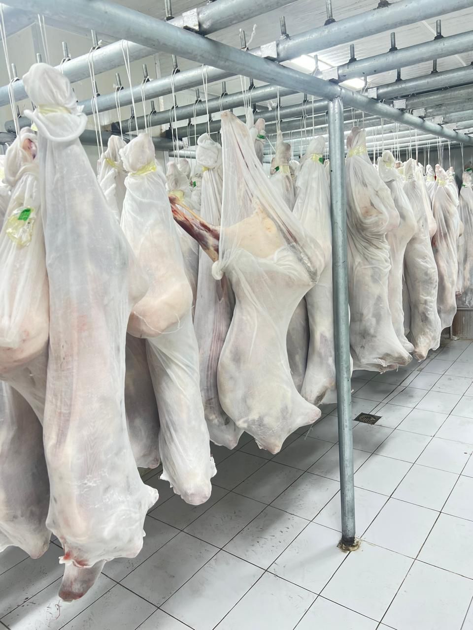 Chilled export room